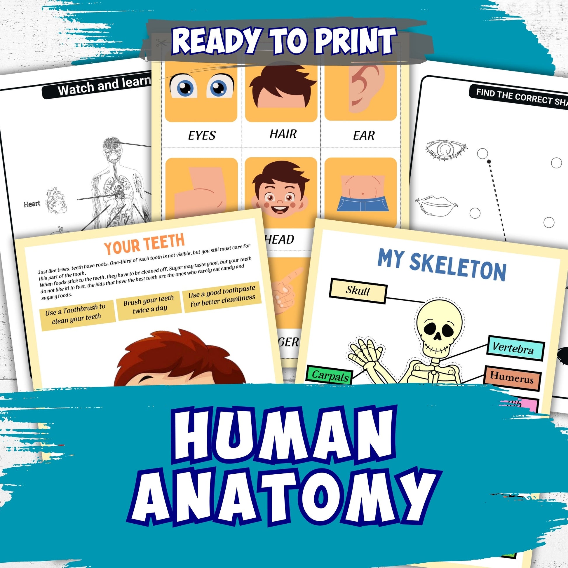 5,000+ Pre-k and Kindergarten Worksheets Ultimate - Sale Ends Tonight!